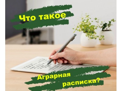Что такое аграрная расписка? Виды расписок в Украине