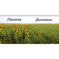 Яку вибрати обробку - оранка або дискування?