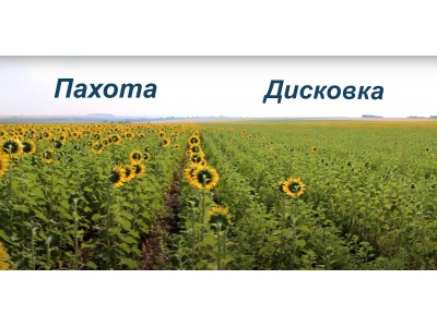 Пахать или дисковать? 