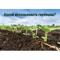 Як і який вибрати гербіцид?