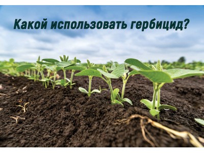Как и какой выбрать гербицид?